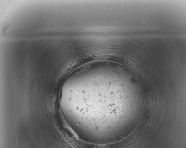 X0000059810742200510281705