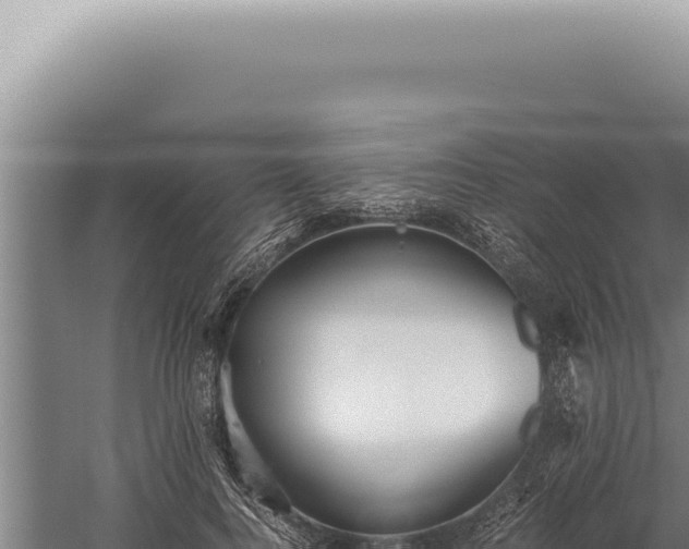 X0000059810744200510281705