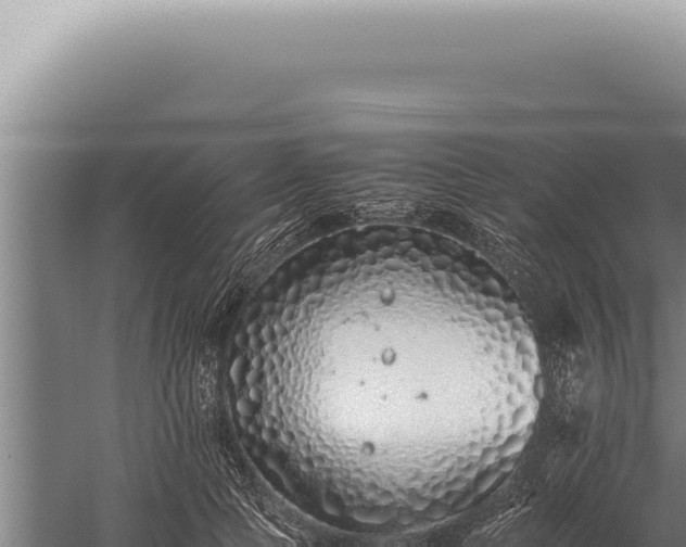 X0000059810745200510281705