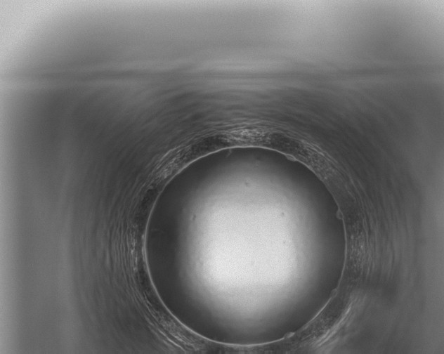 X0000059810749200510281705