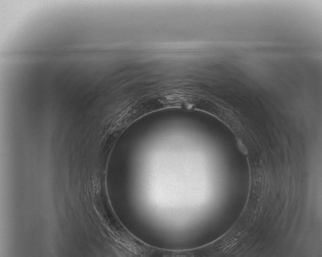 X0000059810751200510281705