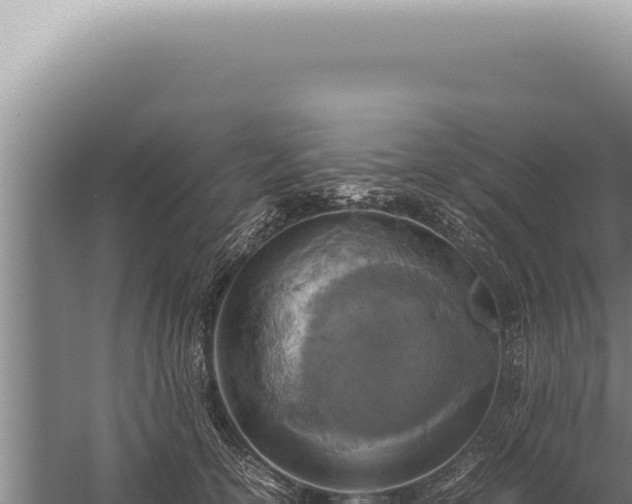 X0000059810754200510281705