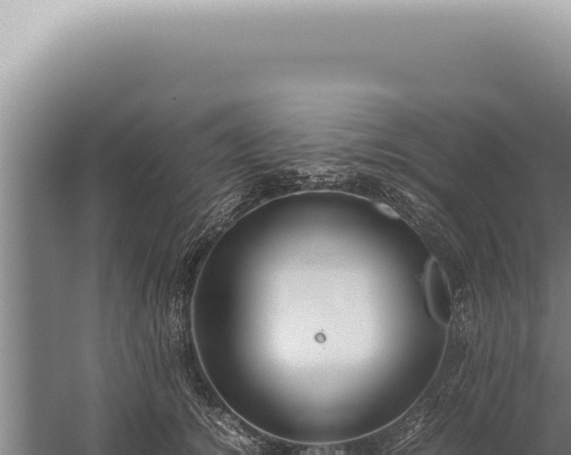 X0000059810756200510281705