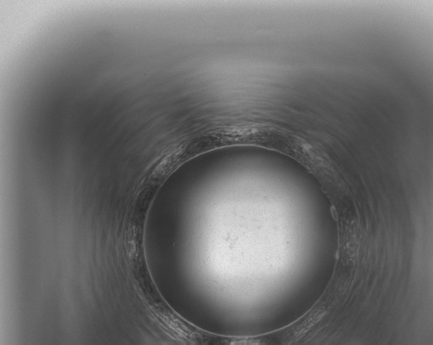 X0000059810758200510281705