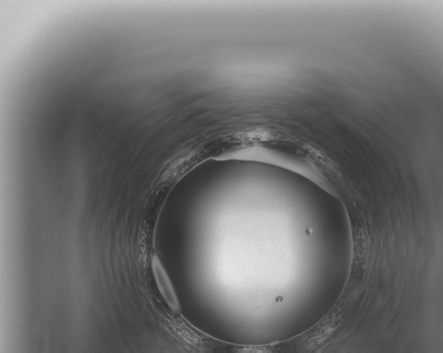 X0000059810762200510281705