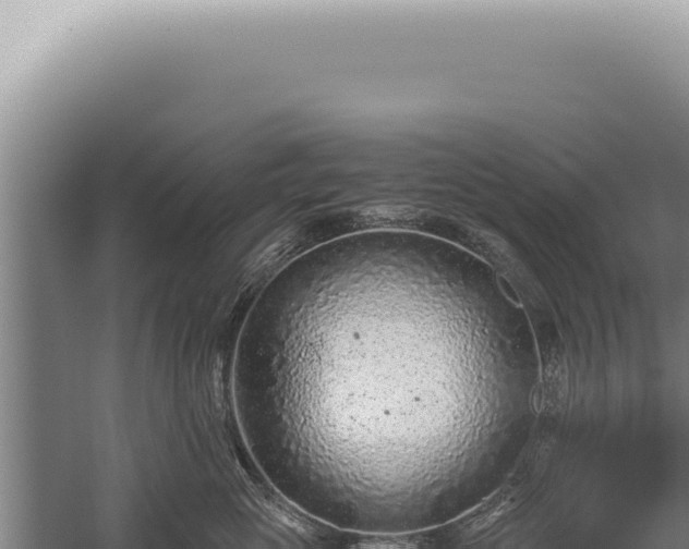 X0000059810765200510281705