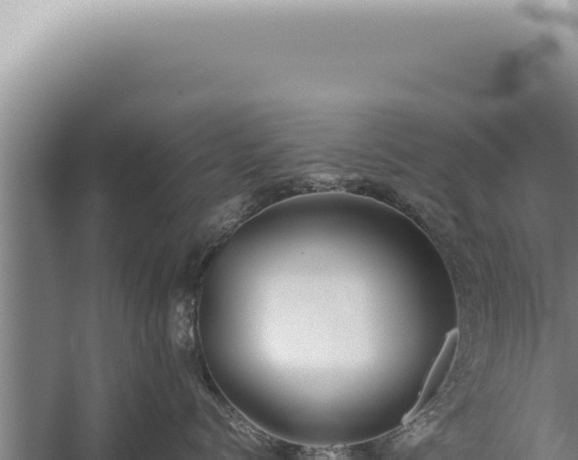 X0000059810768200510281705