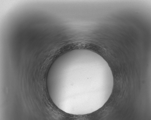 X0000059810769200510281704