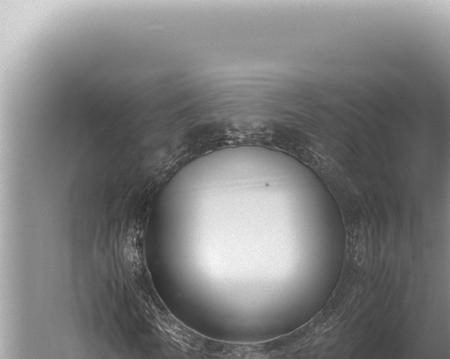 X0000059810770200510281704