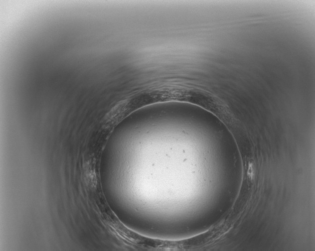 X0000059810771200510281704