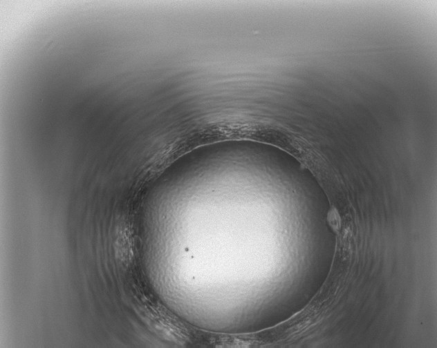 X0000059810772200510281704