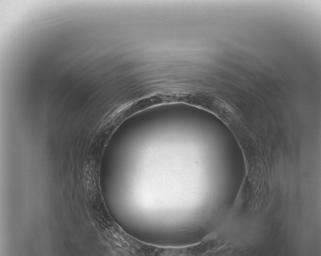 X0000059810773200510281704