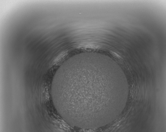 X0000059810774200510281704