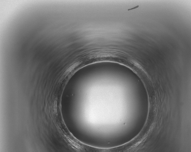 X0000059810777200510281704