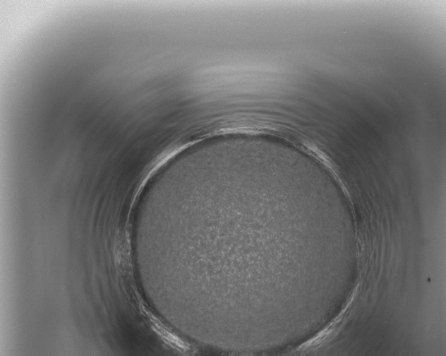 X0000059810779200510281704