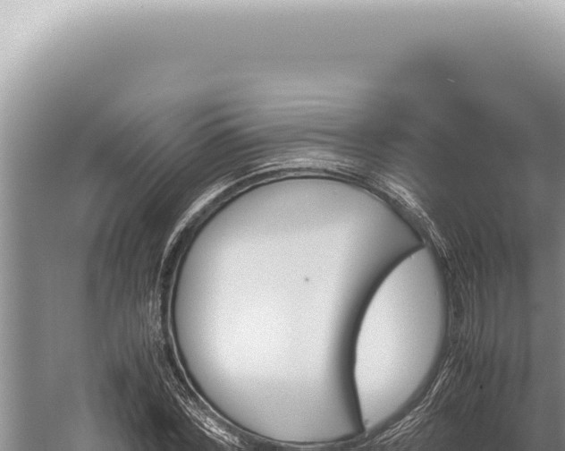 X0000059810780200510281704