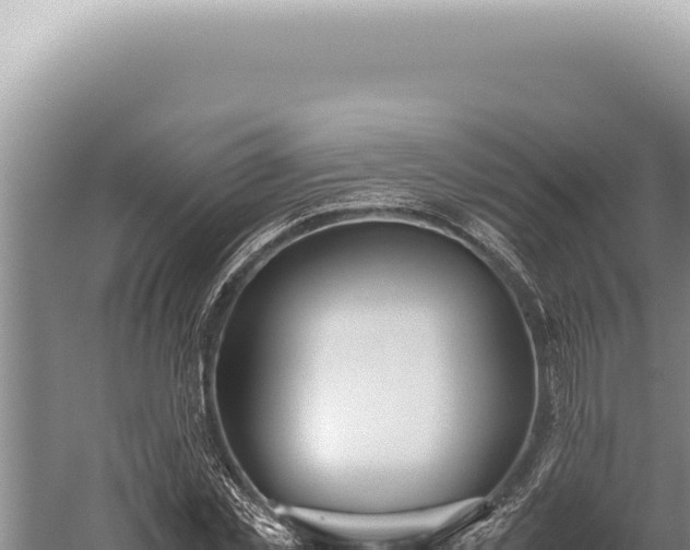 X0000059810781200510281704