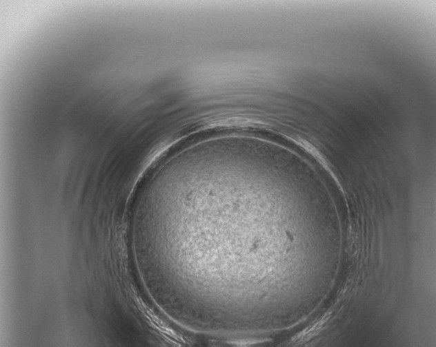 X0000059810783200510281704