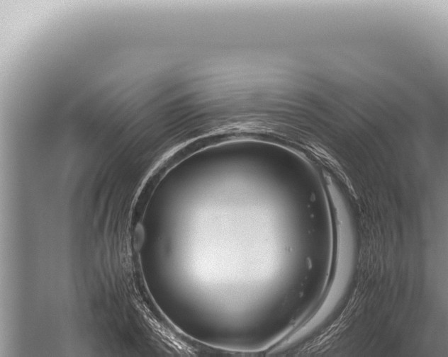 X0000059810784200510281704