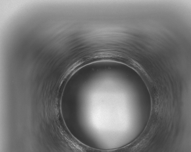 X0000059810786200510281704