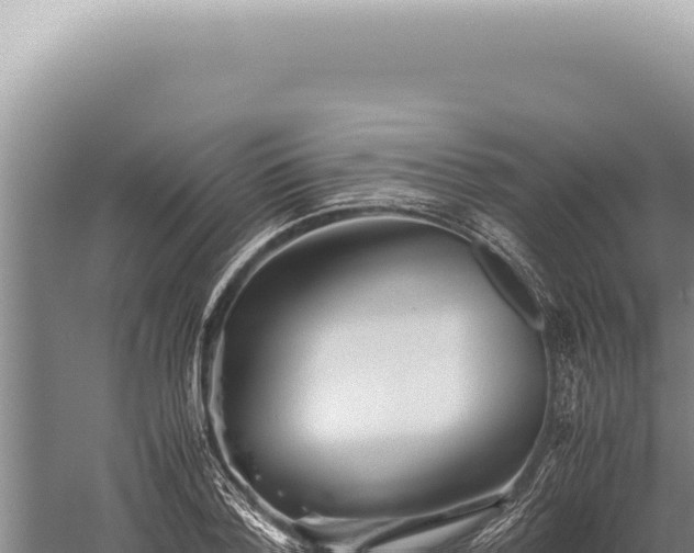 X0000059810788200510281704