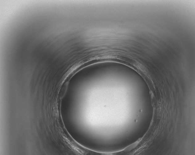 X0000059810789200510281704