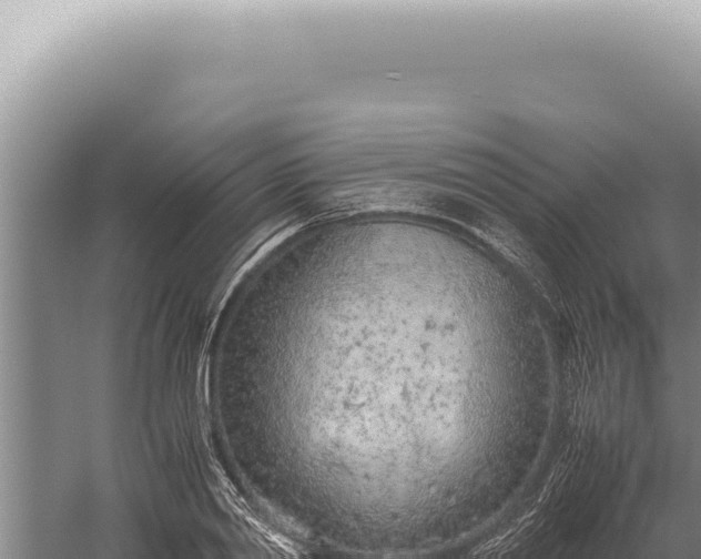 X0000059810790200510281704