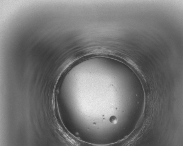 X0000059810791200510281704