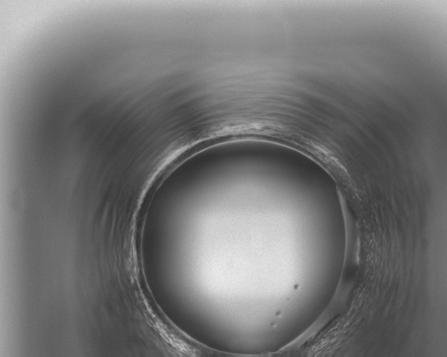 X0000059810792200510281704