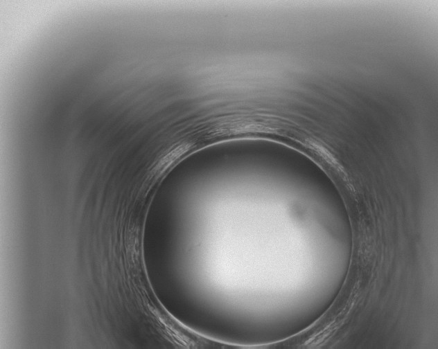 X0000059810793200510281704