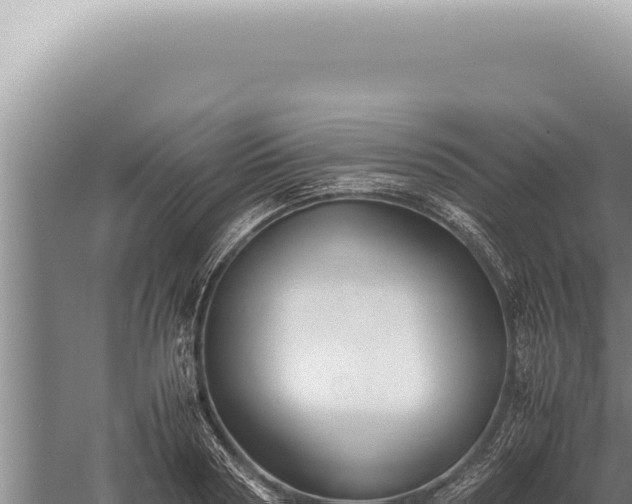 X0000059810794200510281704