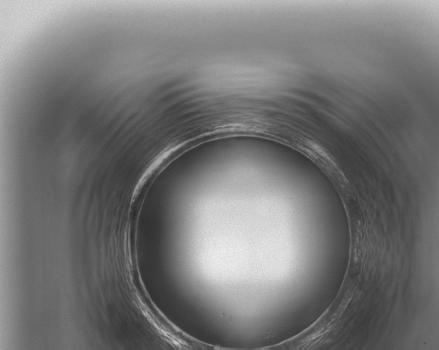 X0000059810796200510281704