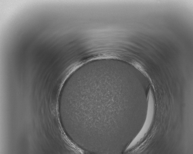 X0000059810797200510281704