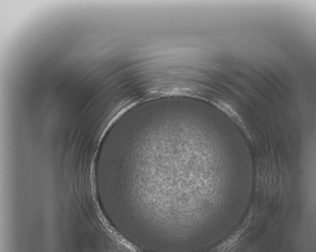 X0000059810798200510281704