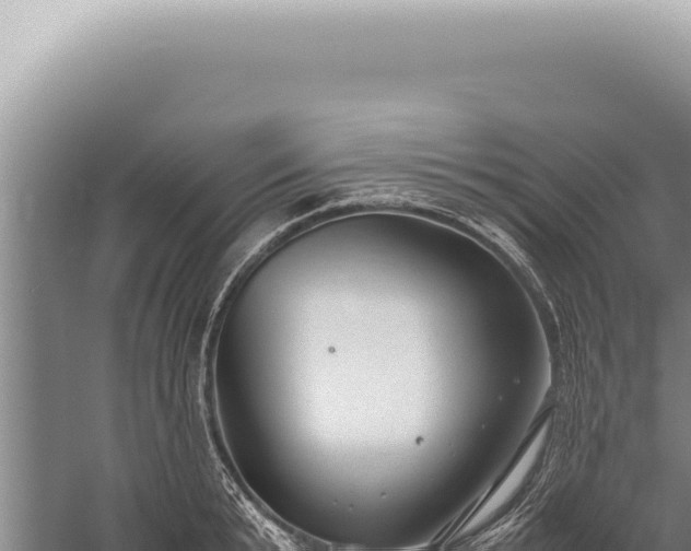 X0000059810799200510281704