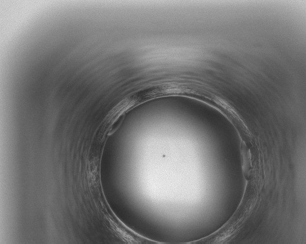 X0000059810801200510281704