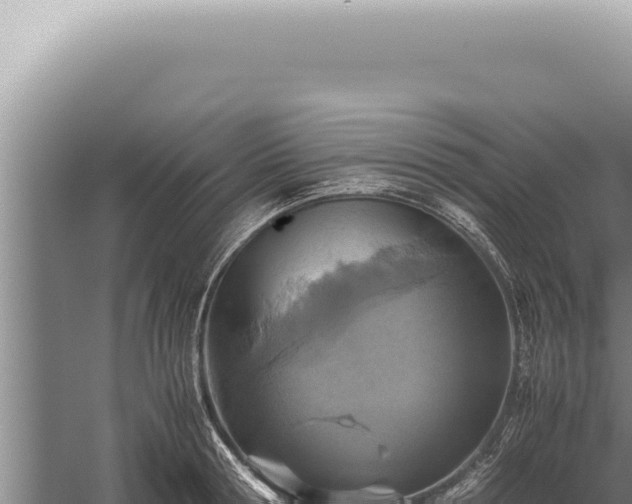 X0000059810802200510281704