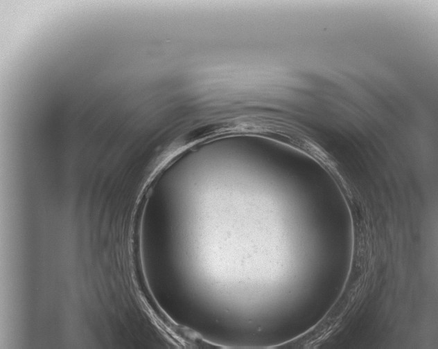 X0000059810803200510281704