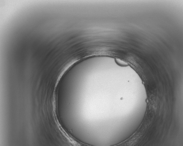 X0000059810804200510281704