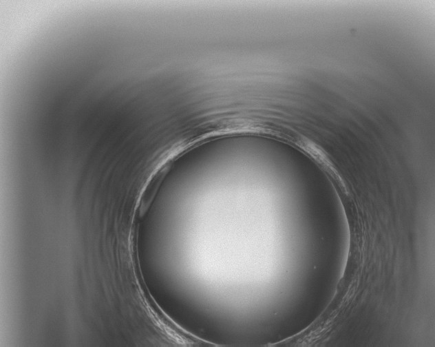 X0000059810805200510281704