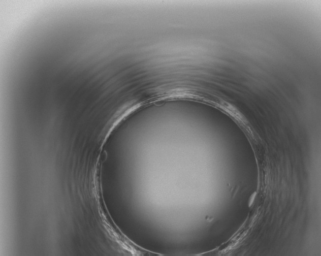 X0000059810806200510281704