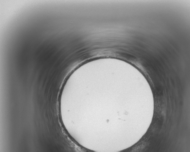 X0000059810807200510281704