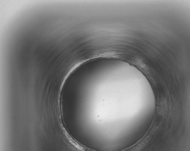 X0000059810808200510281704