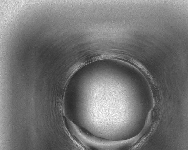 X0000059810809200510281704