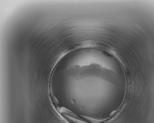 X0000059810810200510281704