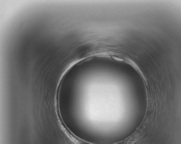 X0000059810811200510281704