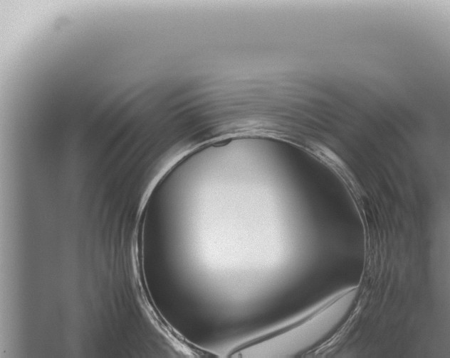 X0000059810812200510281704