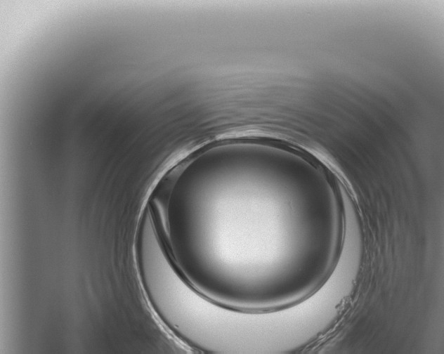 X0000059810813200510281703