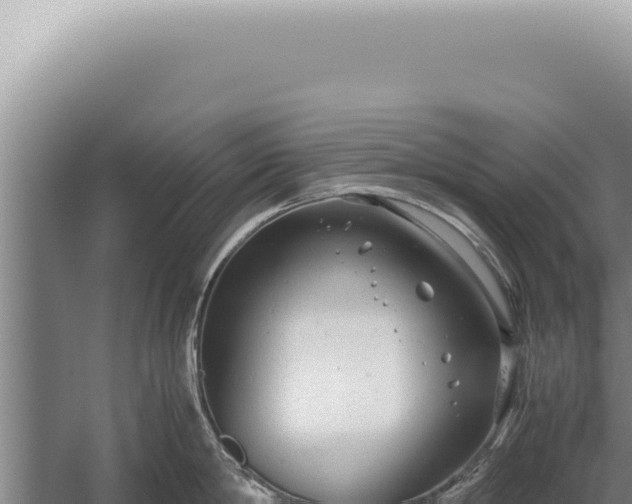 X0000059810814200510281703