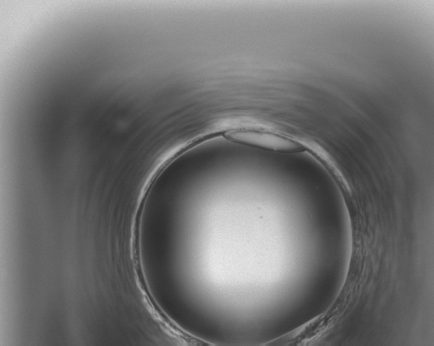 X0000059810815200510281703